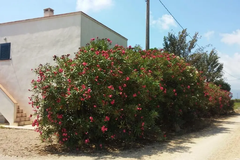 Pequena Casa Rural En El Centro Del Delta Del Ebro Amposta